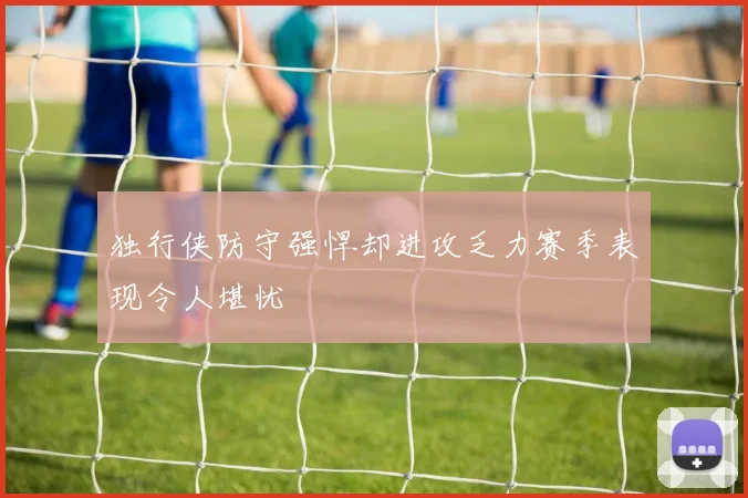 独行侠防守强悍却进攻乏力赛季表现令人堪忧