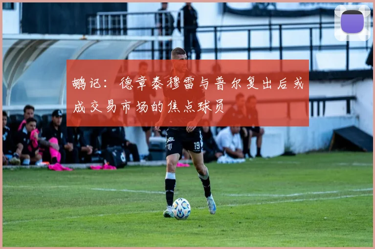 鹕记：德章泰穆雷与普尔复出后或成交易市场的焦点球员